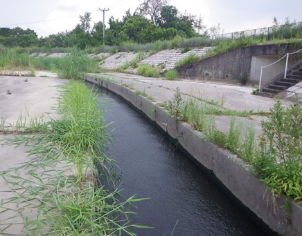 River downstream picture