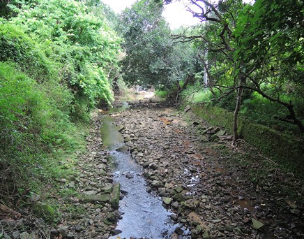 River upstream picture
