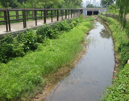 River upstream picture