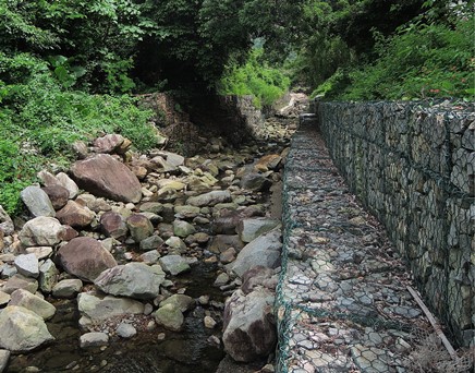 River upstream picture