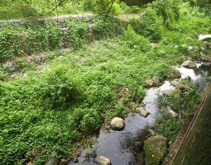 River downstream picture