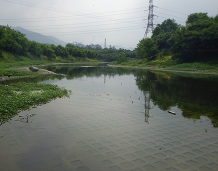 River upstream picture