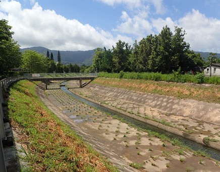 River upstream picture