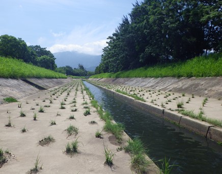 River downstream picture