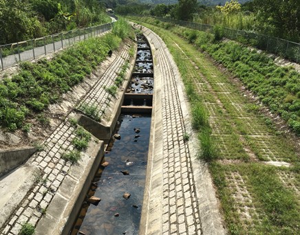 River upstream picture
