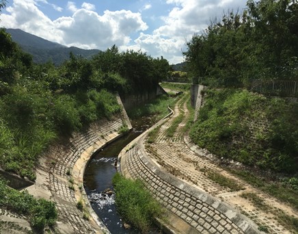 River downstream picture