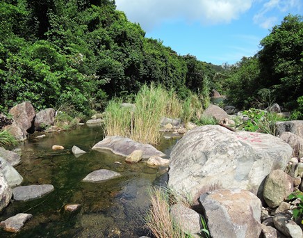 River upstream picture