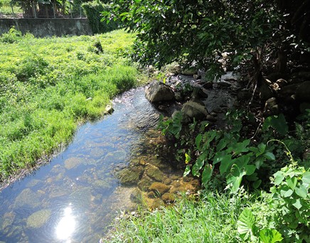 River downstream picture