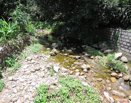River upstream picture