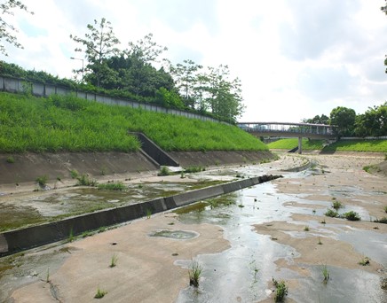River downstream picture