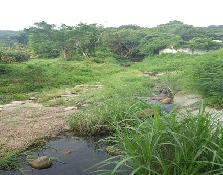 River upstream picture