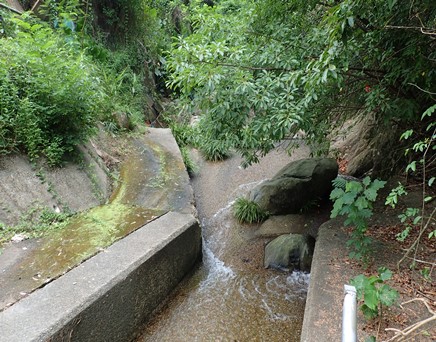 River upstream picture
