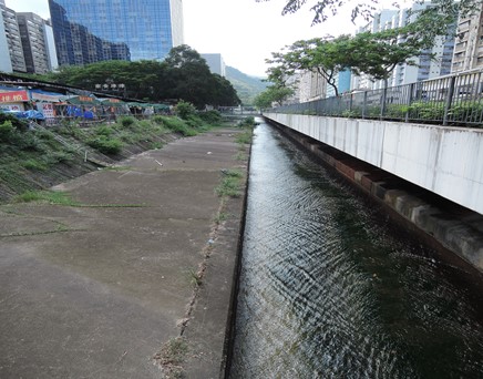 River downstream picture