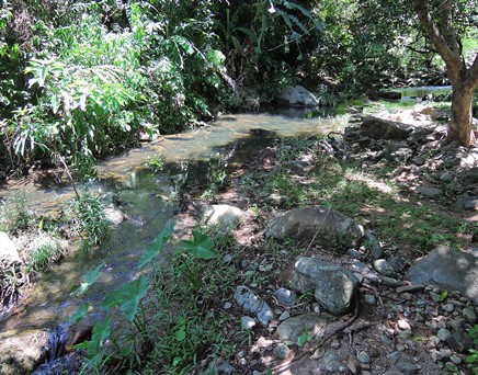 River upstream picture