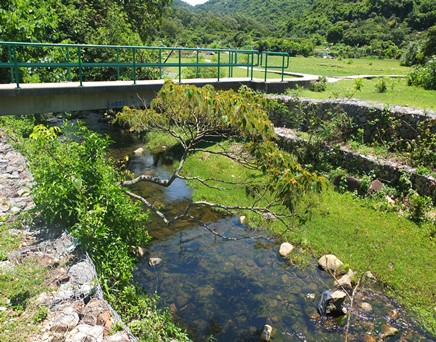 River downstream picture