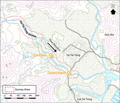 Map of the river