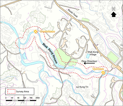 Map of the river