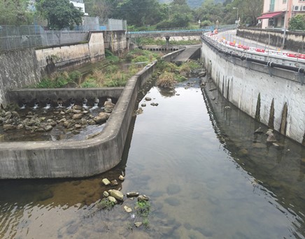 River upstream picture
