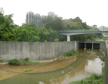 River downstream picture