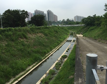 River upstream picture