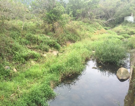 River downstream picture