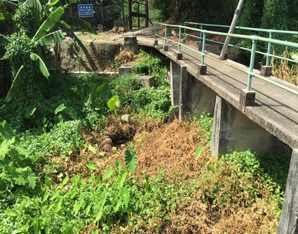River downstream picture