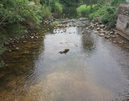River downstream picture