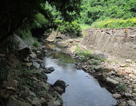 River upstream picture