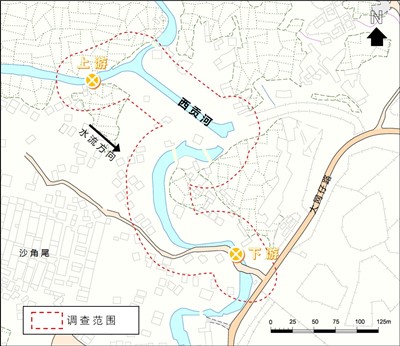 河流图