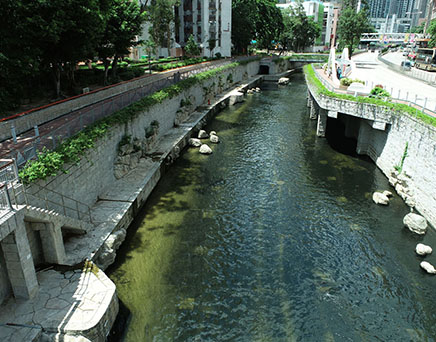 River upstream picture