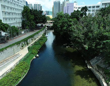 River downstream picture