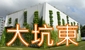 大坑東蓄洪計劃