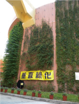 Vertical Greening in STSTW
