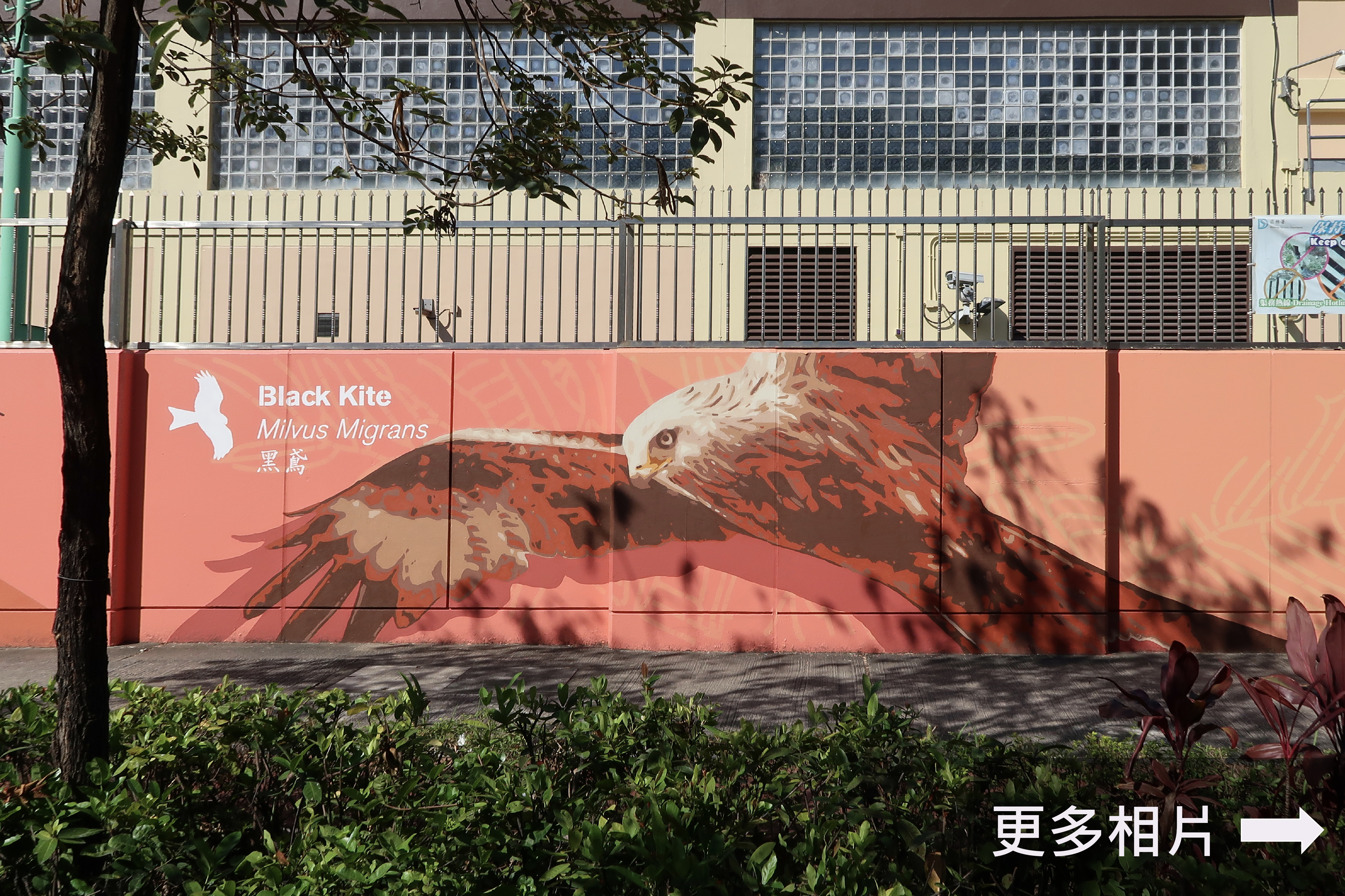 深水埗壁画