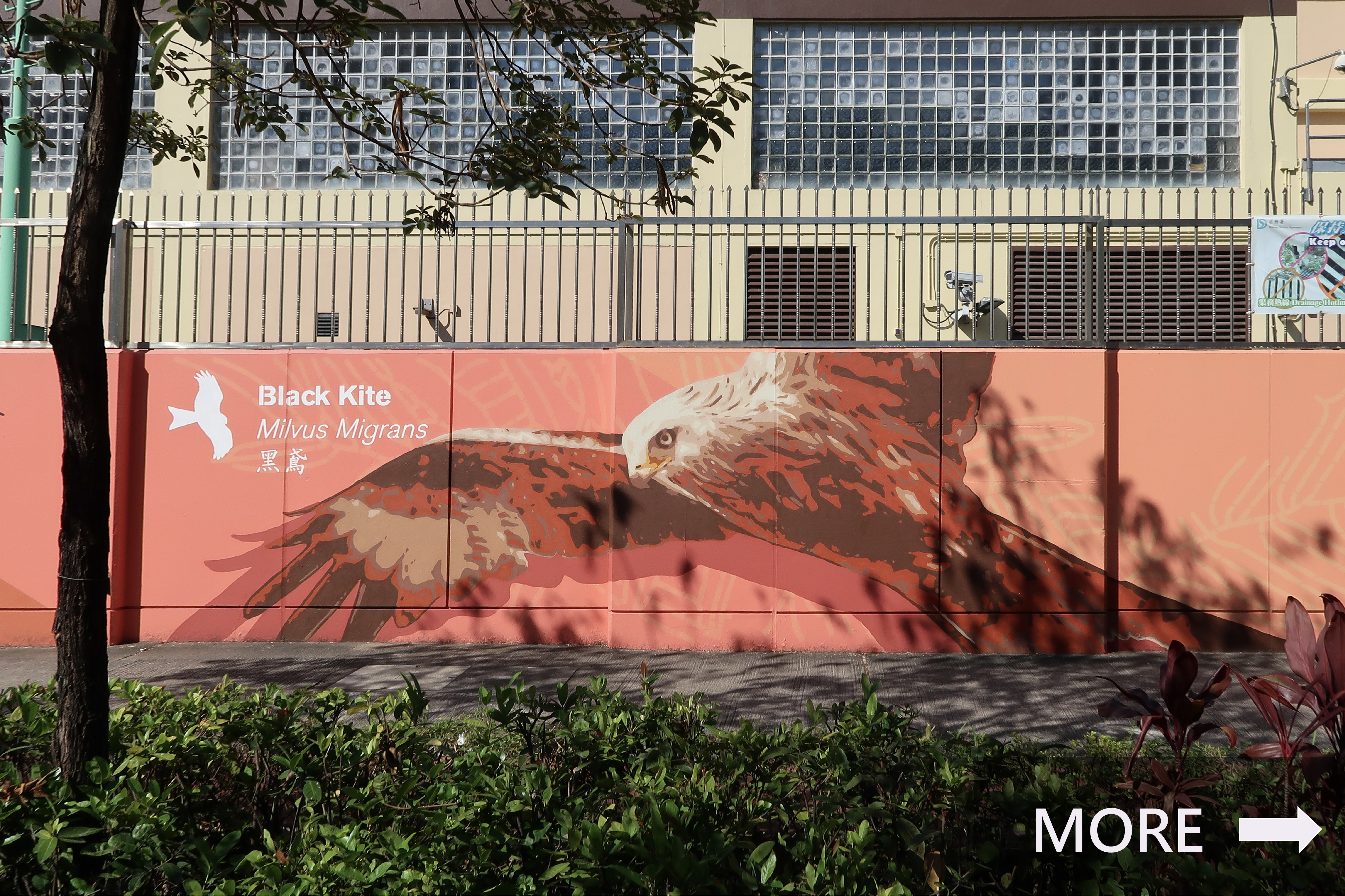 Mural paintings in Sham Shui Po