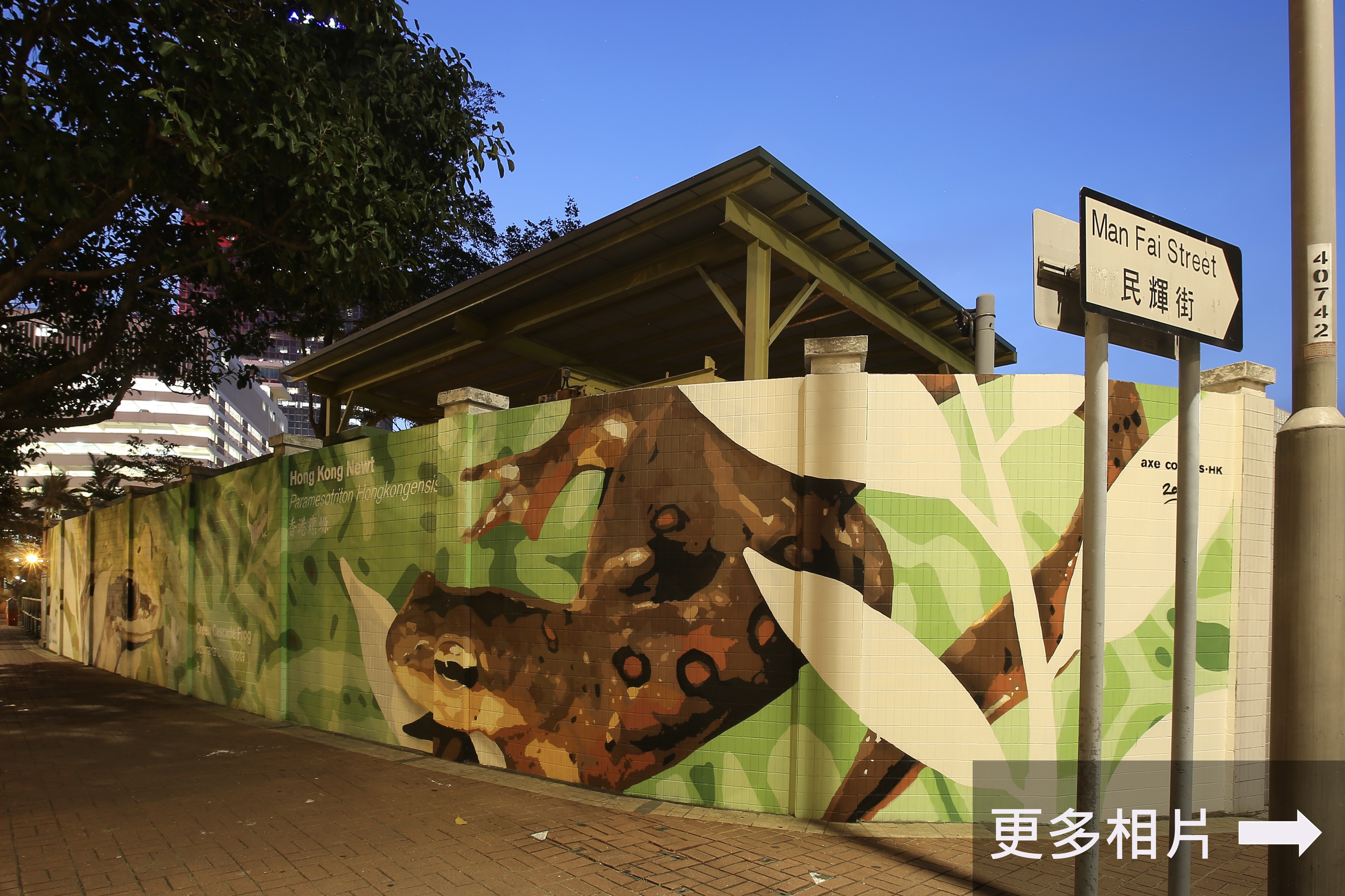 中环壁画