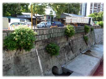 Original View of Old Masonry Wall