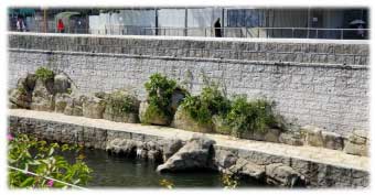Preserving Old Masonry Wall Walls
