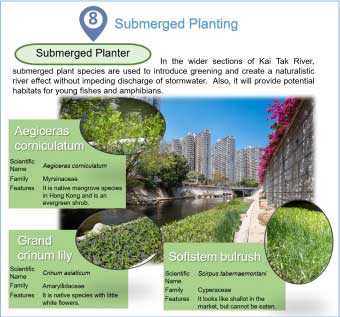 Submerged Planting