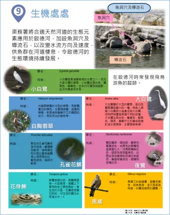 生機處處