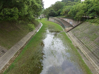 混凝土草格