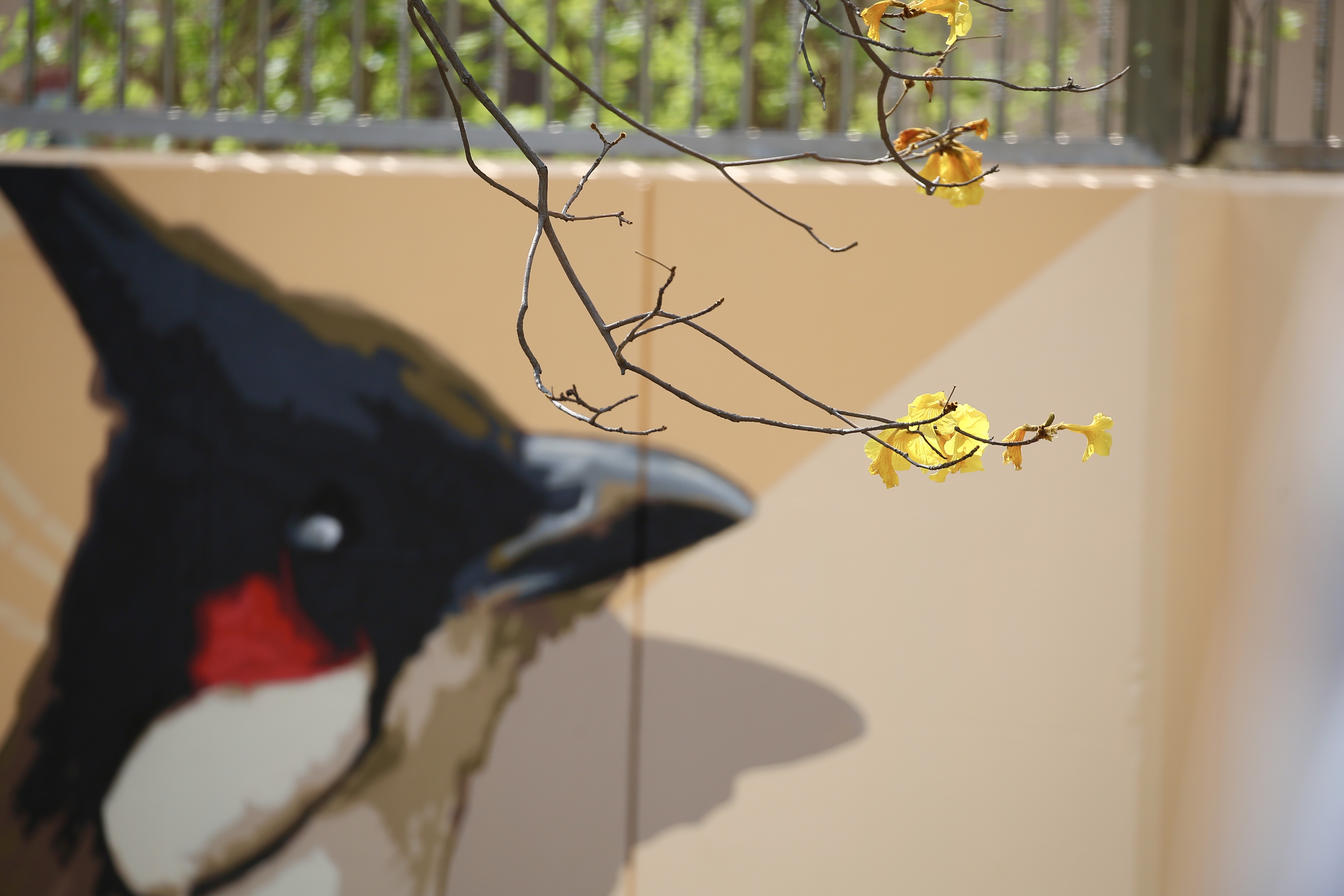 Ecology Mural Painting on Central and Sham Shui Po