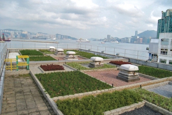 Green roof at To Kwa Wan Preliminary Treatment Works