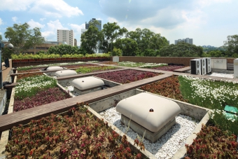 Green roof at Kau Hui Sewage Pumping Station Compound