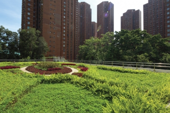 Green roof at Siu Hong Sewage Pumping Station