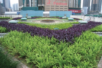Green roof at Water Boat Dock Sewage Pumping Station