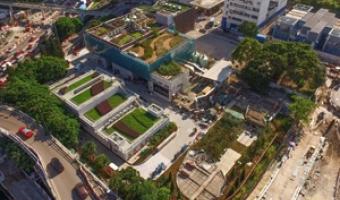 Greening at Wan Chai East Preliminary Treatment Works