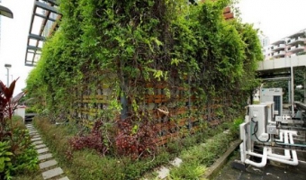 Greening on other DSD facilities