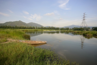 元朗排水绕道人工湿地