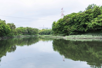 元朗排水绕道浅水池
